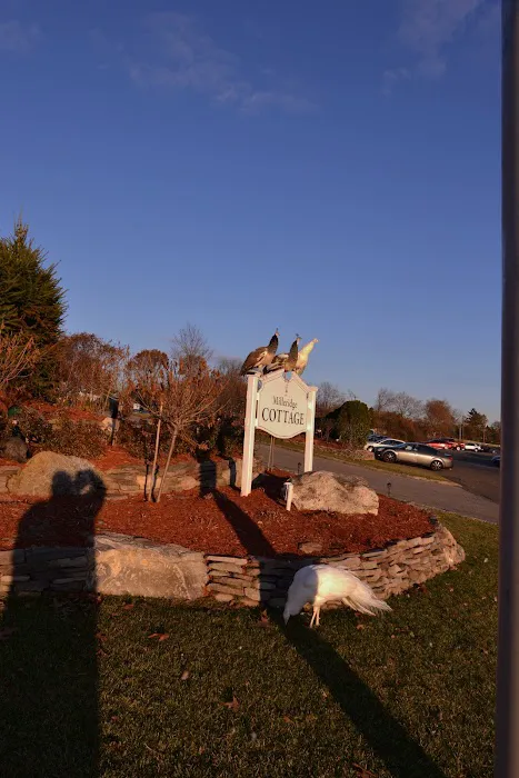 The carlton Picture 4