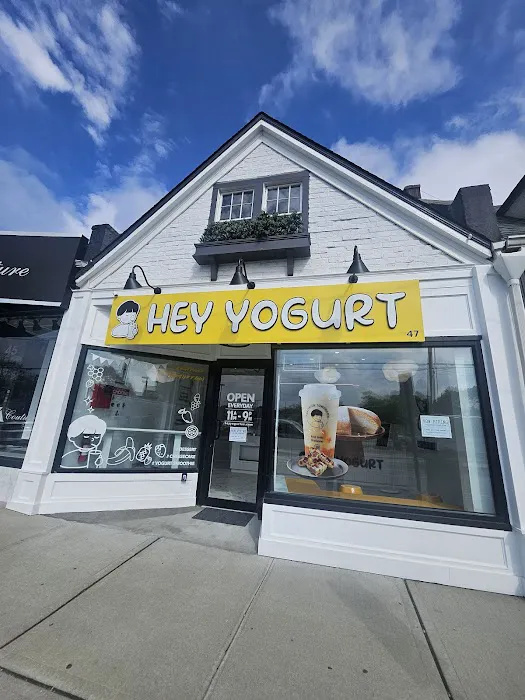 Hey Yogurt Syosset Picture 9