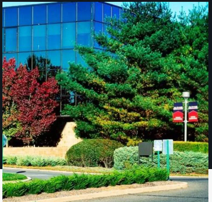 Jericho Sandwich Cafe Picture 8