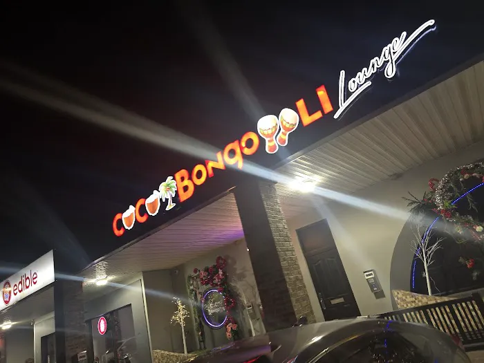 Coco Bongo LI Lounge Picture 4