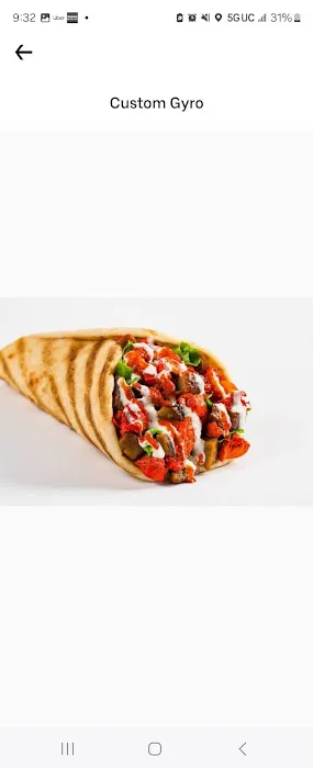 Shahs Halal Food Haverstraw Picture 6