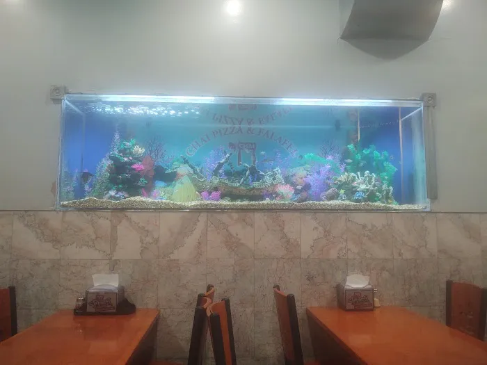 Chai Pizza Picture 4