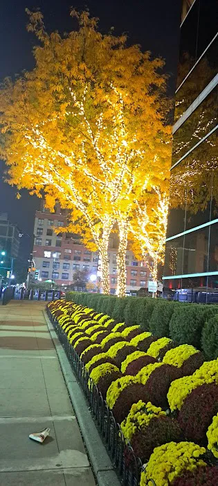 16 green street Picture 1