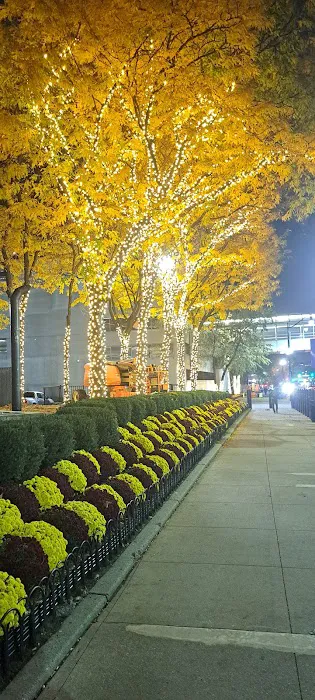 16 green street Picture 2