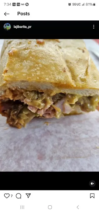 La jibarita food truck Picture 7