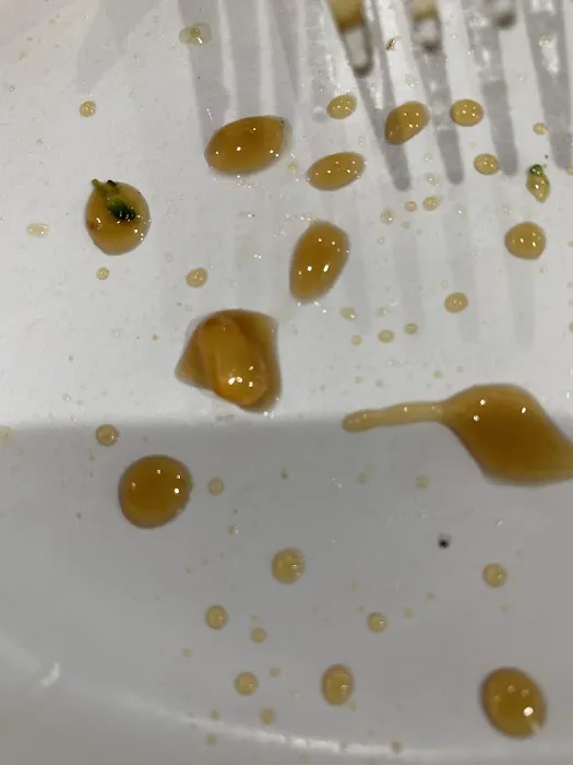 New Loon Hing Restaurant Picture 3