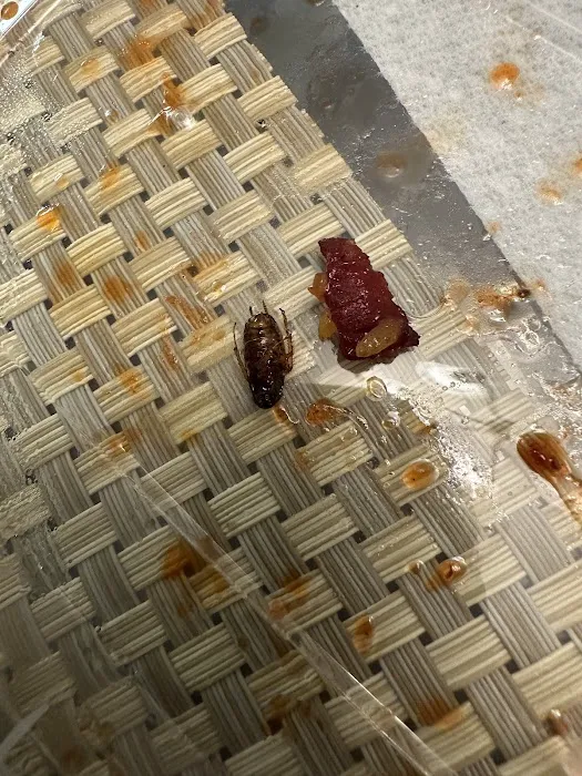 Golden Dragon Picture 9