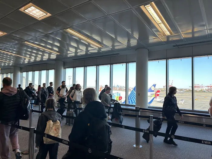 Purse Dumpling Bar Picture 9