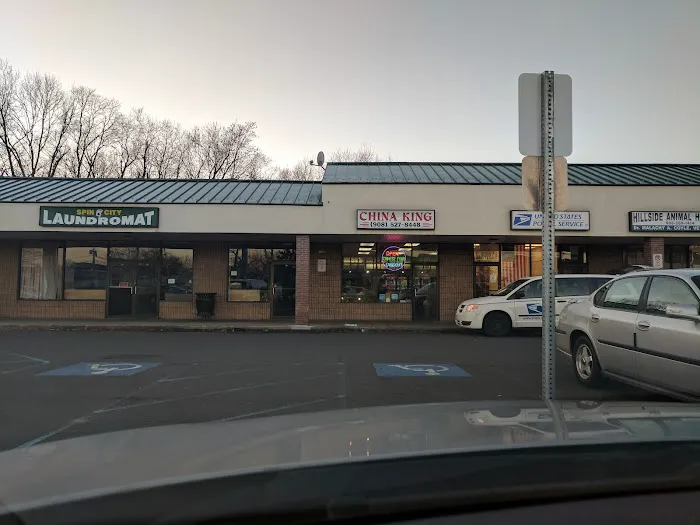 China King Picture 4