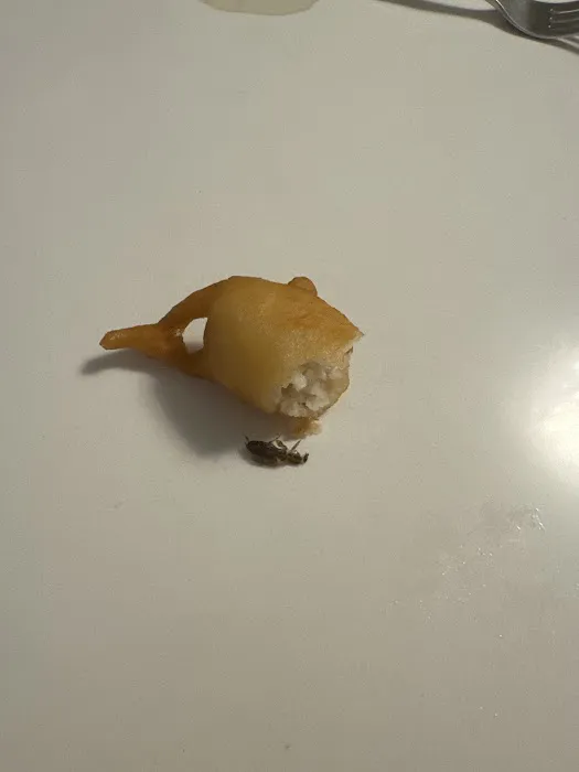 NEW Golden Dragon Restaurant Inc Picture 7