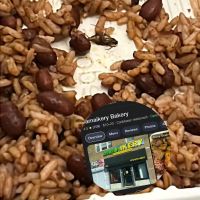 Jamaikery Bakery ico