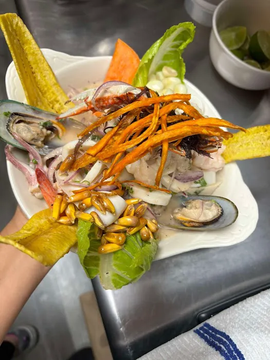 Peruvian Brazas Picture 6