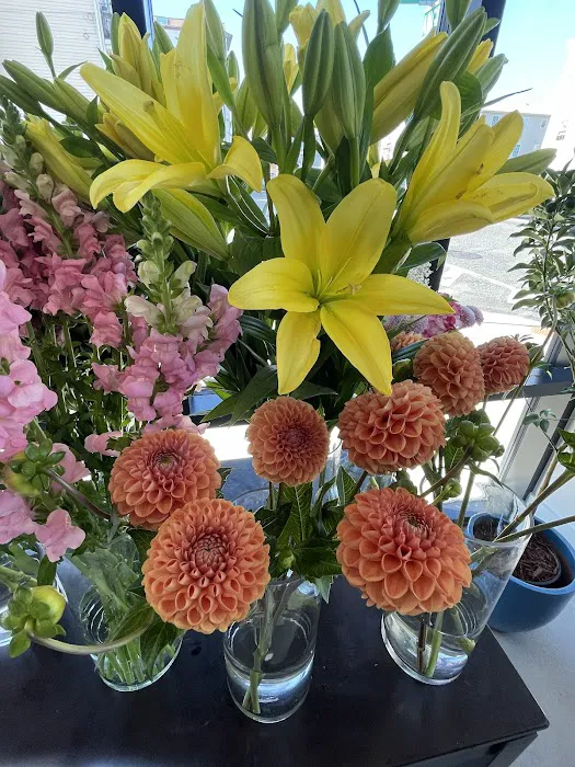 KANELA & CO. - COFFEE & PLANTS Picture 6