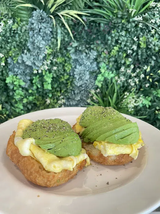 KANELA & CO. - COFFEE & PLANTS Picture 9