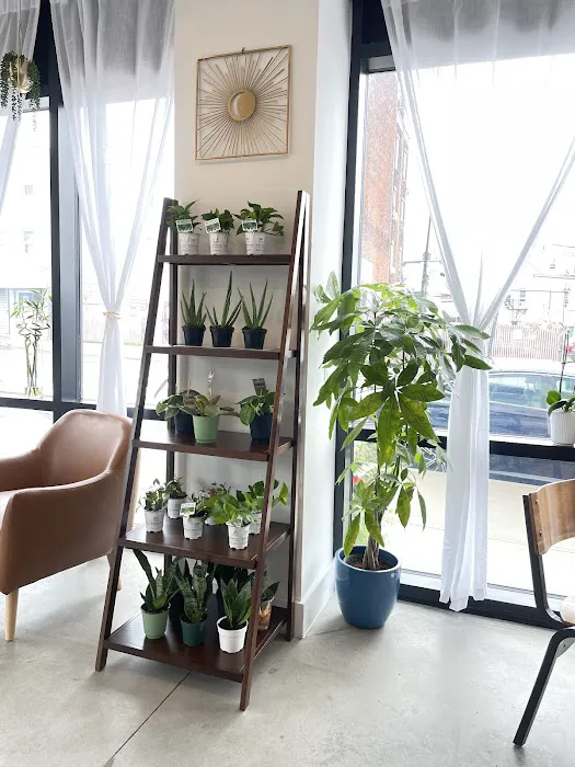 KANELA & CO. - COFFEE & PLANTS Picture 2