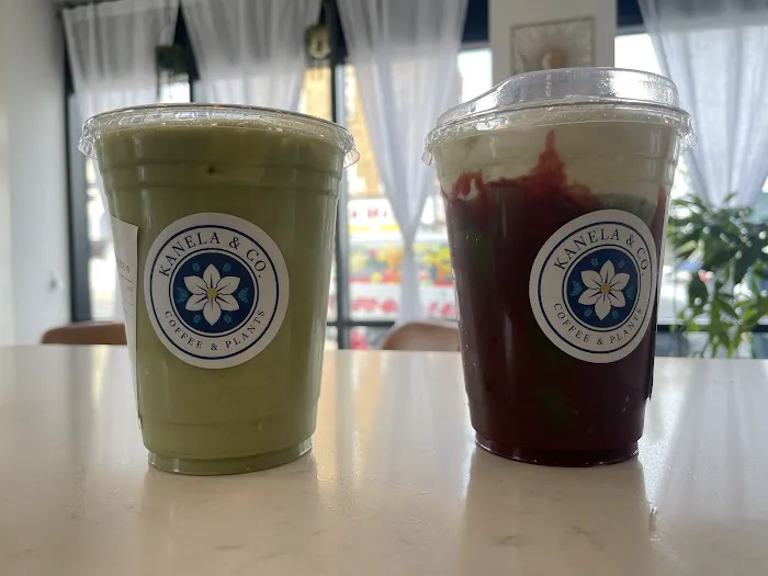 KANELA & CO. - COFFEE & PLANTS Picture 5