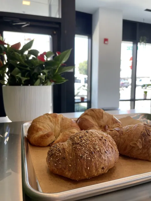 KANELA & CO. - COFFEE & PLANTS Picture 10