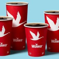 Wawa ico