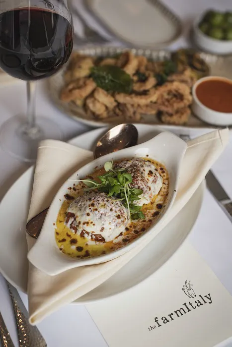 The Farm Italy Restaurant Westbury NY Picture 10