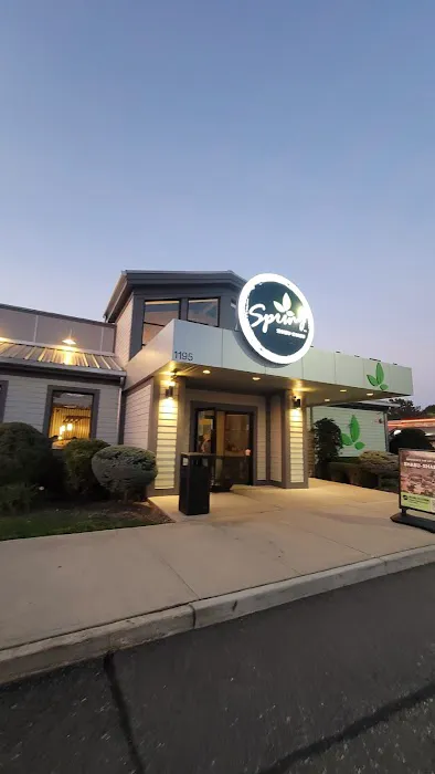 Spring Shabu-Shabu Picture 3