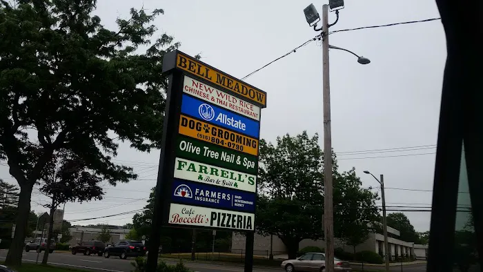 New Wild Rice Picture 9