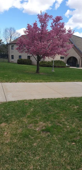 Hofstra USA Picture 5