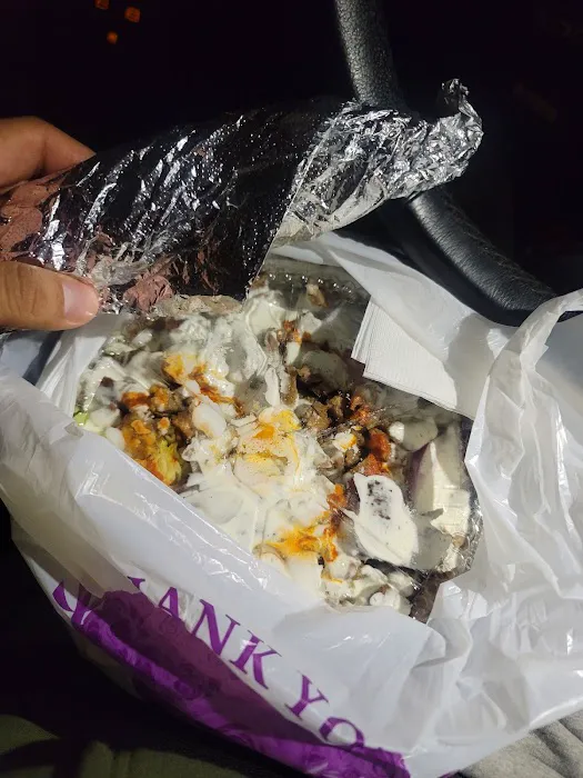 Gyro van truck Picture 1