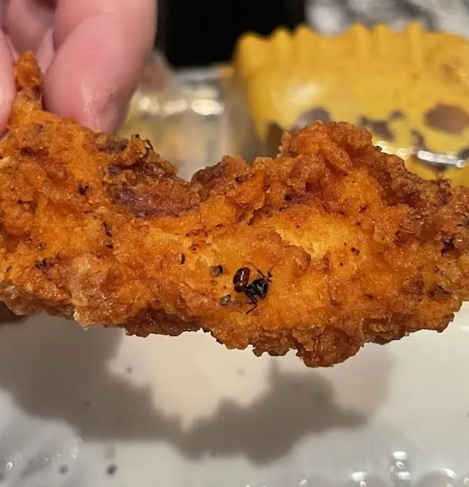 La Rosa Chicken & Grill Restaurant - Guyon Avenue Picture 7