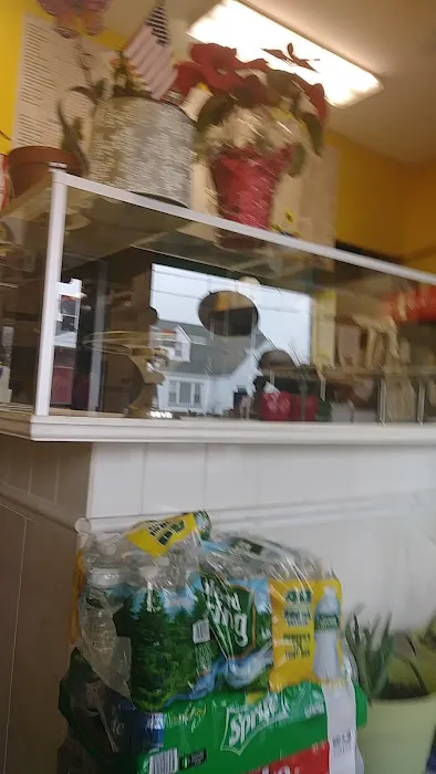 Lucia's Pizzeria Picture 4