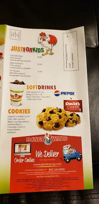 Planet Wings we deliver Picture 4