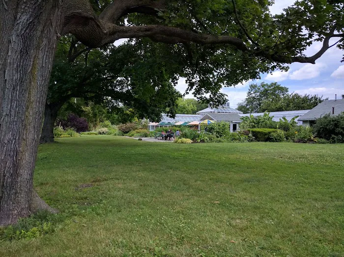 Harbor Eats Picture 5