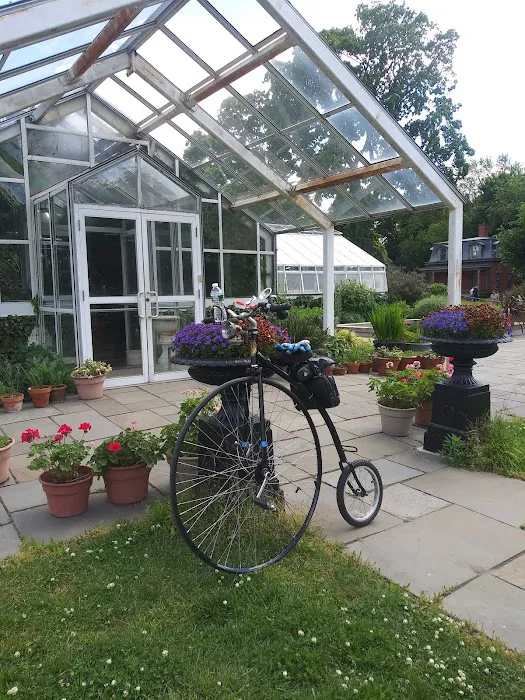 Harbor Eats Picture 8