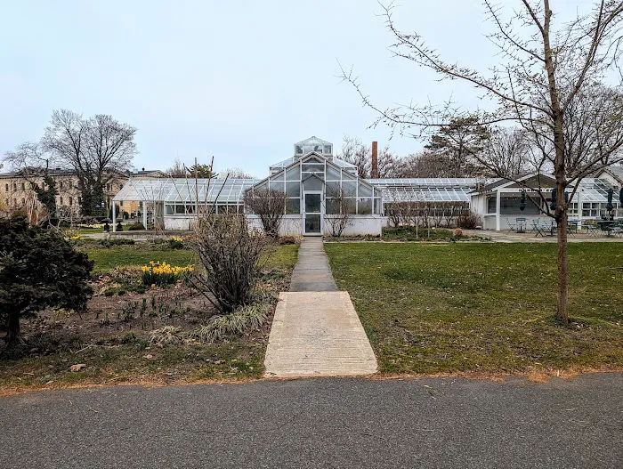 Harbor Eats Picture 6