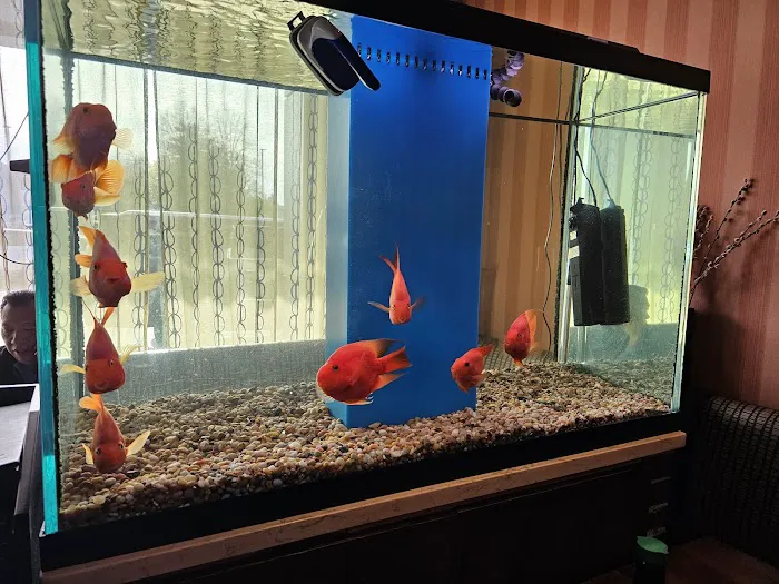 Sapporo Sushi Picture 7