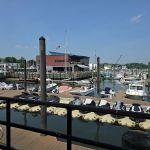 Marina Cafe Restaurant & Tiki Bar