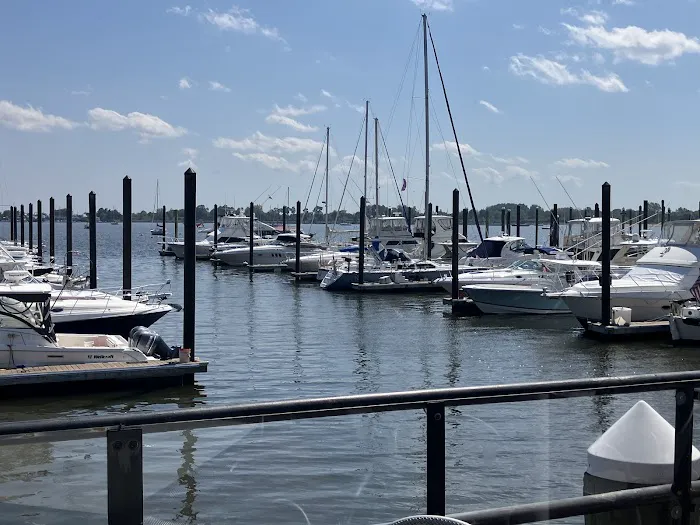 Marina Cafe Restaurant & Tiki Bar Picture 9