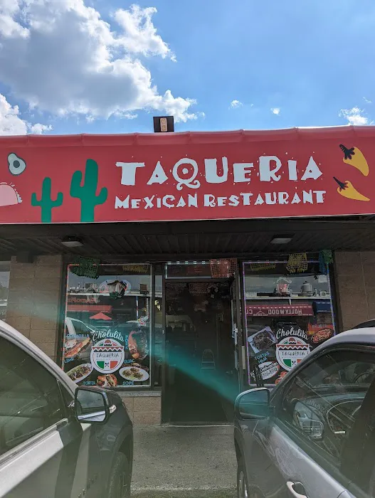 Taqueria Mexican Restaurant Picture 1