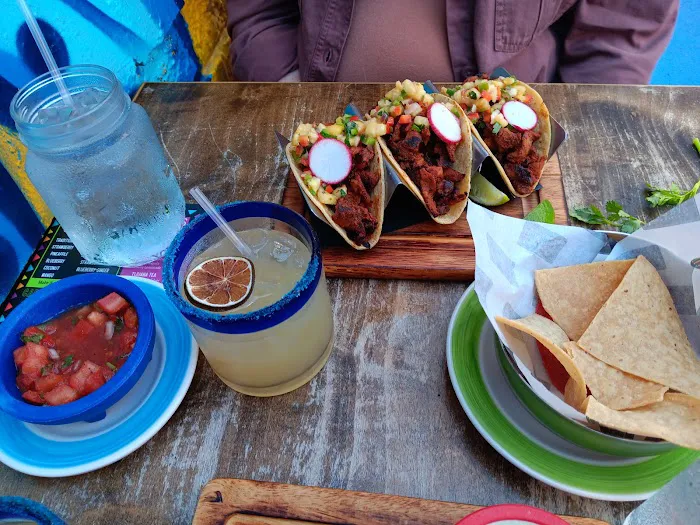 Sofia's Taqueria Forest Picture 3