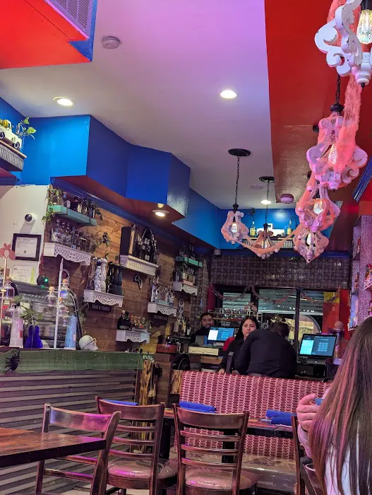 Sofia's Taqueria Forest Picture 5