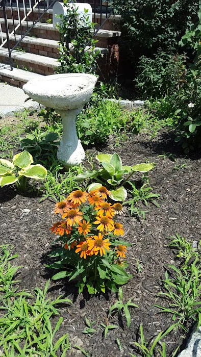 Lucky Garden Picture 9