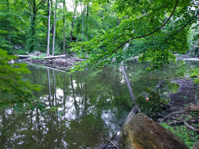A&J's Lunch Wagon Picture 4