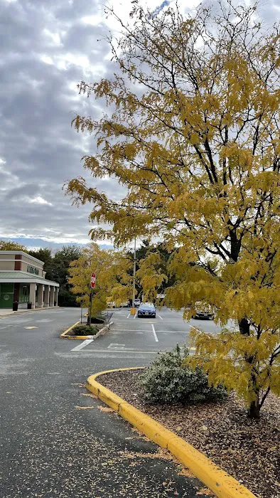 Anthony Francos Pizza - Parsippany Picture 8