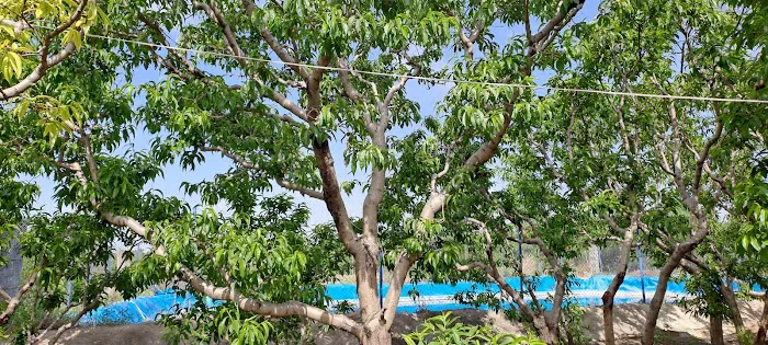 Shakesmash Picture 1