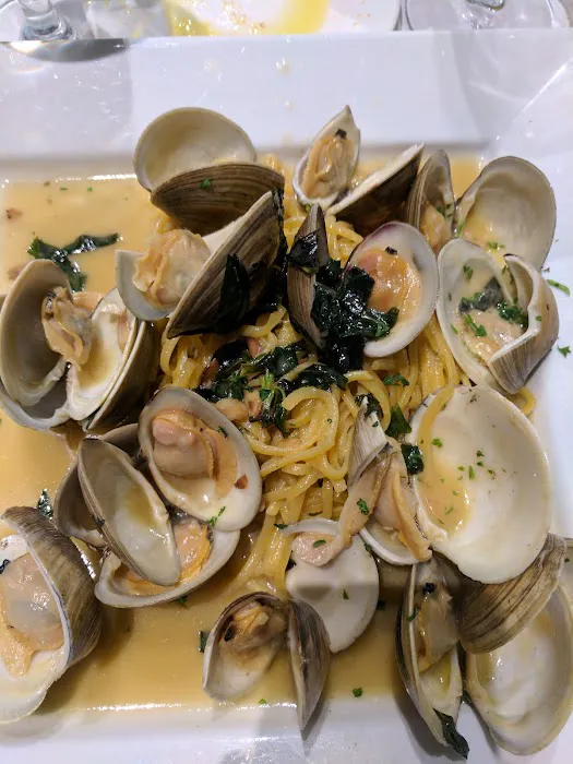 Calandra's Mediterranean Grill Picture 9