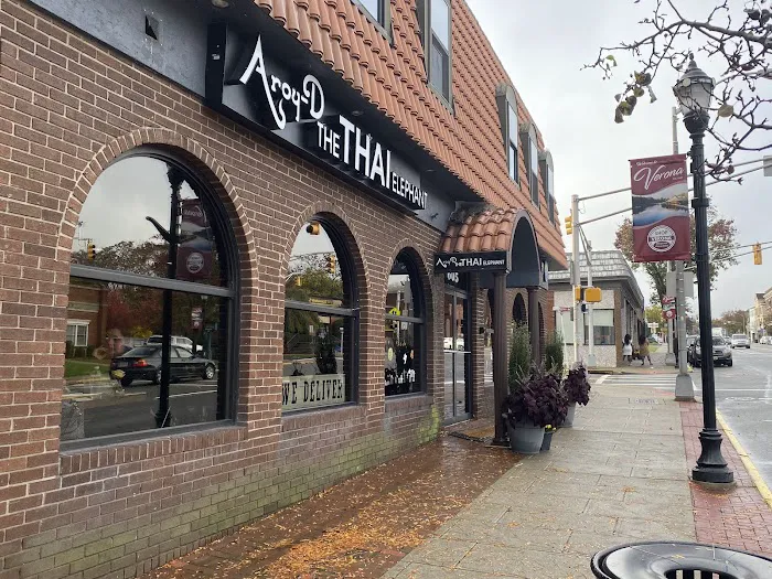 Aroy-D, The Thai Elephant Picture 5