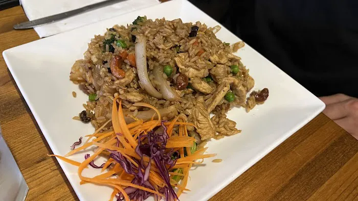 Aroy-D, The Thai Elephant Picture 4