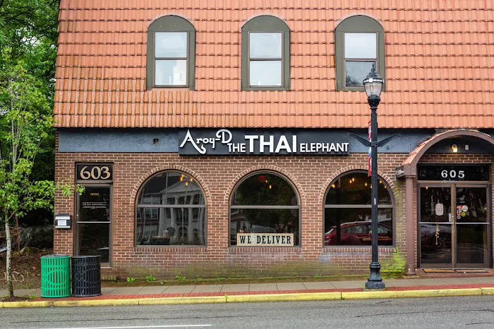 Aroy-D, The Thai Elephant Picture 6