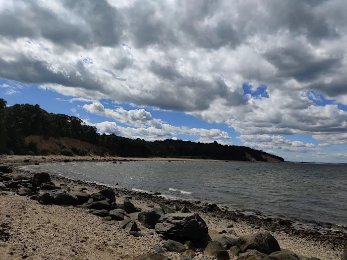 Deli Salvadoreño Picture 10