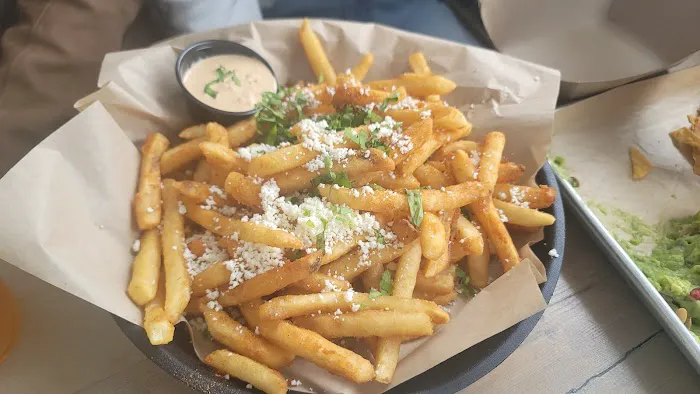 Whales Tale Picture 2