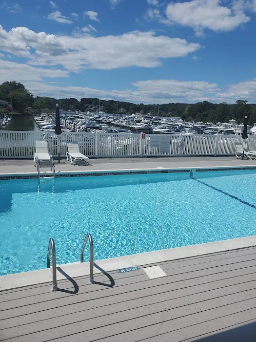 Whales Tale Picture 6